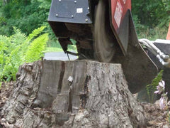 Paladin Bradco Stump Grinder for Skid Steer