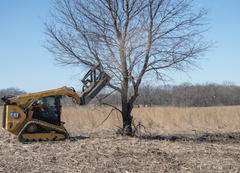 Paladin | FD60 High-Flow Forestry Disk Mulcher for Skid Steer
