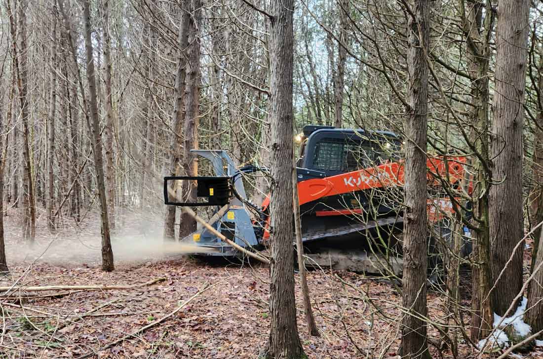 Baumalight FGS952 Feller Buncher Tree Saw for Skid Steer